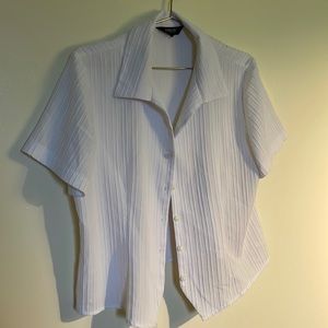 Cropped Short Sleeve Blouse